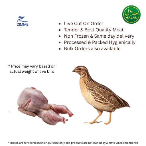 Quail / Batair