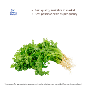 Coriander / Kothmir
