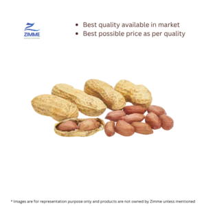 Kachi Phalli / Peanut