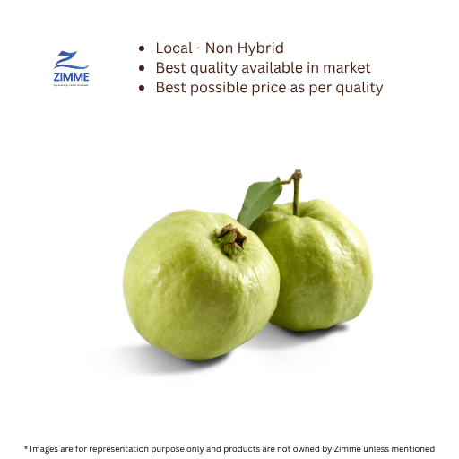 Amrud / Jama Pandu / Guava (Local)