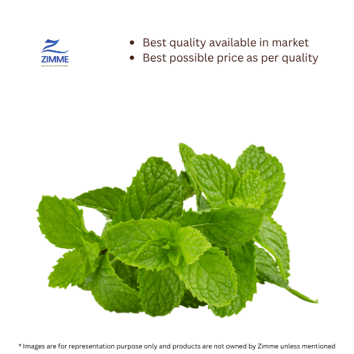 Mint / Pudina