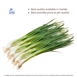 Pyaz Ki Patti / Spring Onions