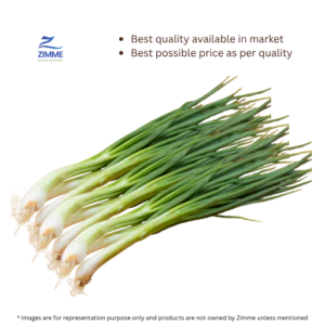 Pyaz Ki Patti / Spring Onions