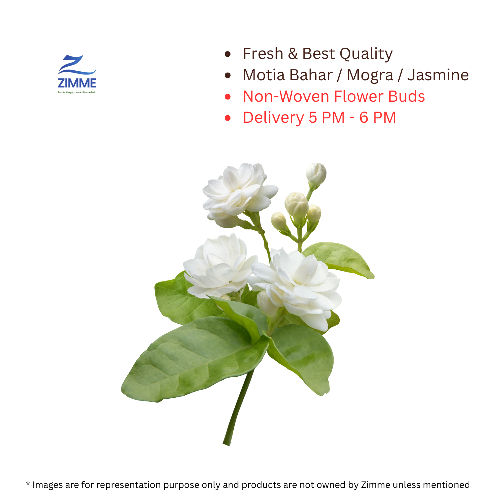 Motia Bahar / Mogra / Jasmine Flower
