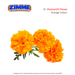 Chamanthi (Orange) Flower