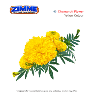 Chamanthi (Yellow) Flower