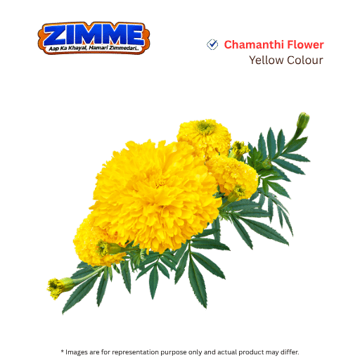 Chamanthi (Yellow) Flower
